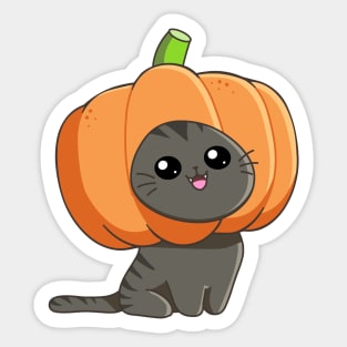 Pumpkin Cat Sticker